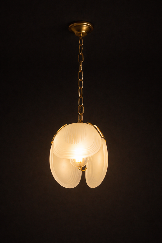 Pendant light with a floral design on a black background