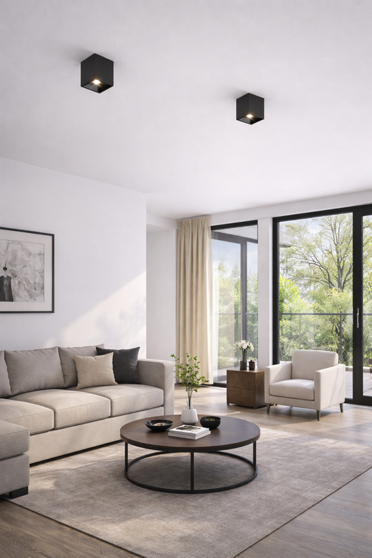 Modern living area with the black mounted spotlight