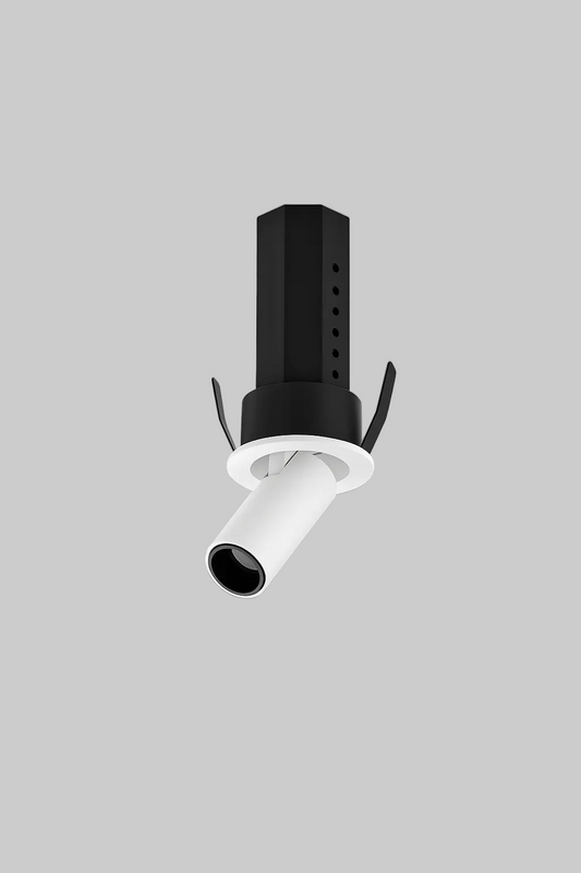 Black and white recessed directional spotlight