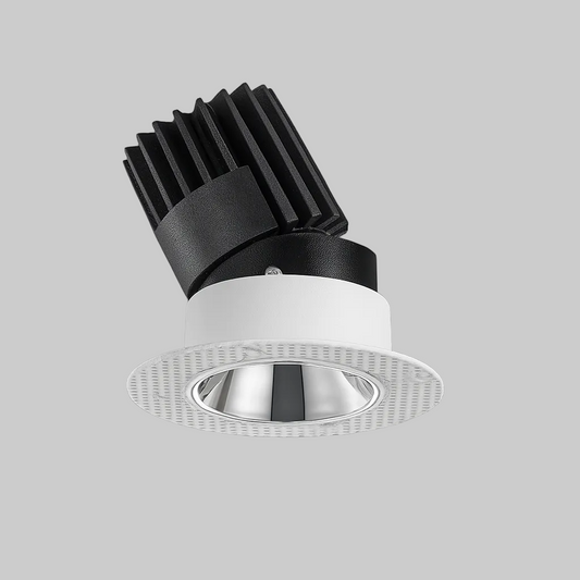 Black and white recessed directional spotlight