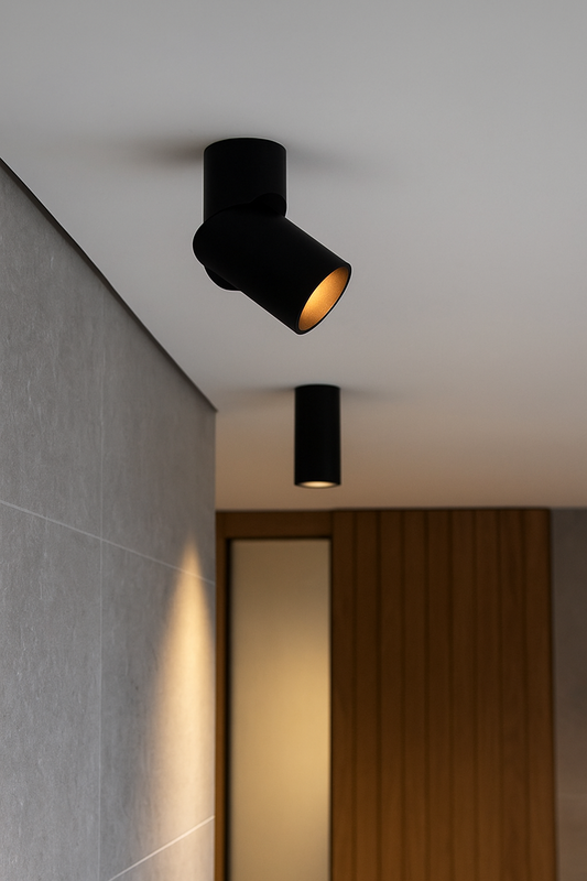 Application image of TS137