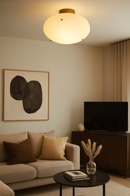 Application image for the suspended light fixture 