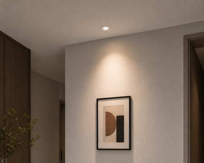 Application image for the spot light 