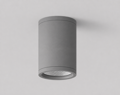 Mounted spot light 