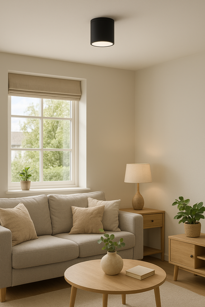 Application image of the down light B1013-CEIL