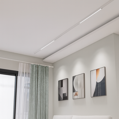 Application image for the magnetic track light 