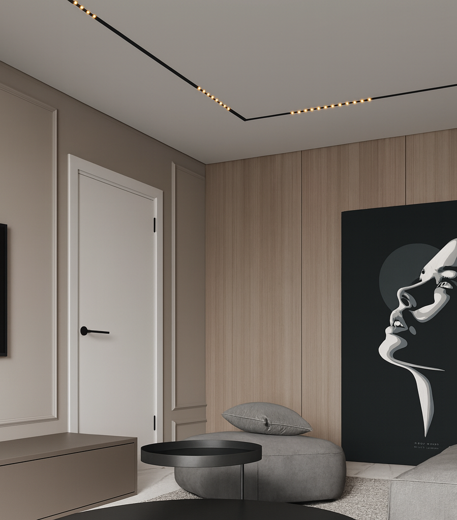 Application image for the magnetic track system 