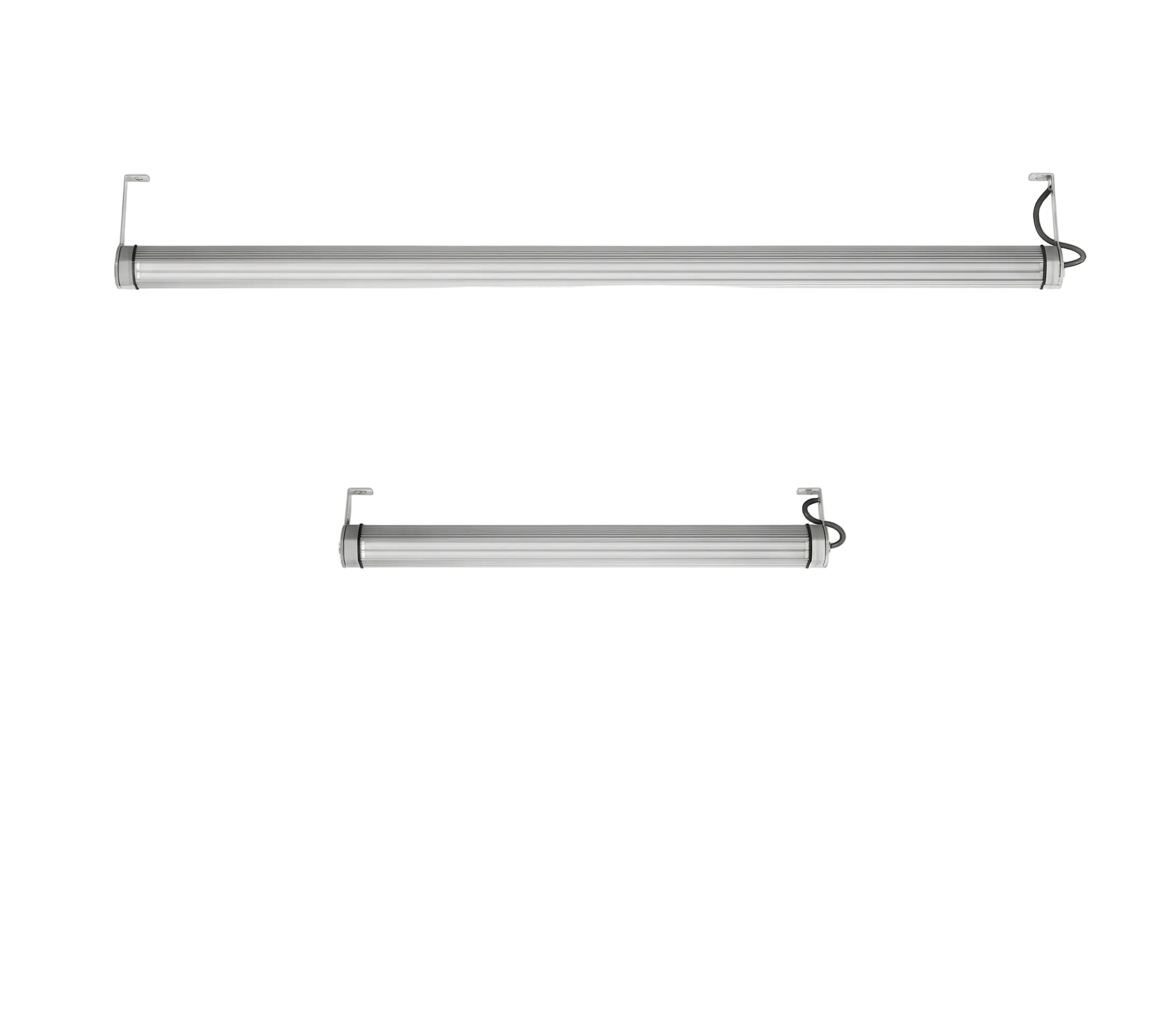 Platek Ceiling 