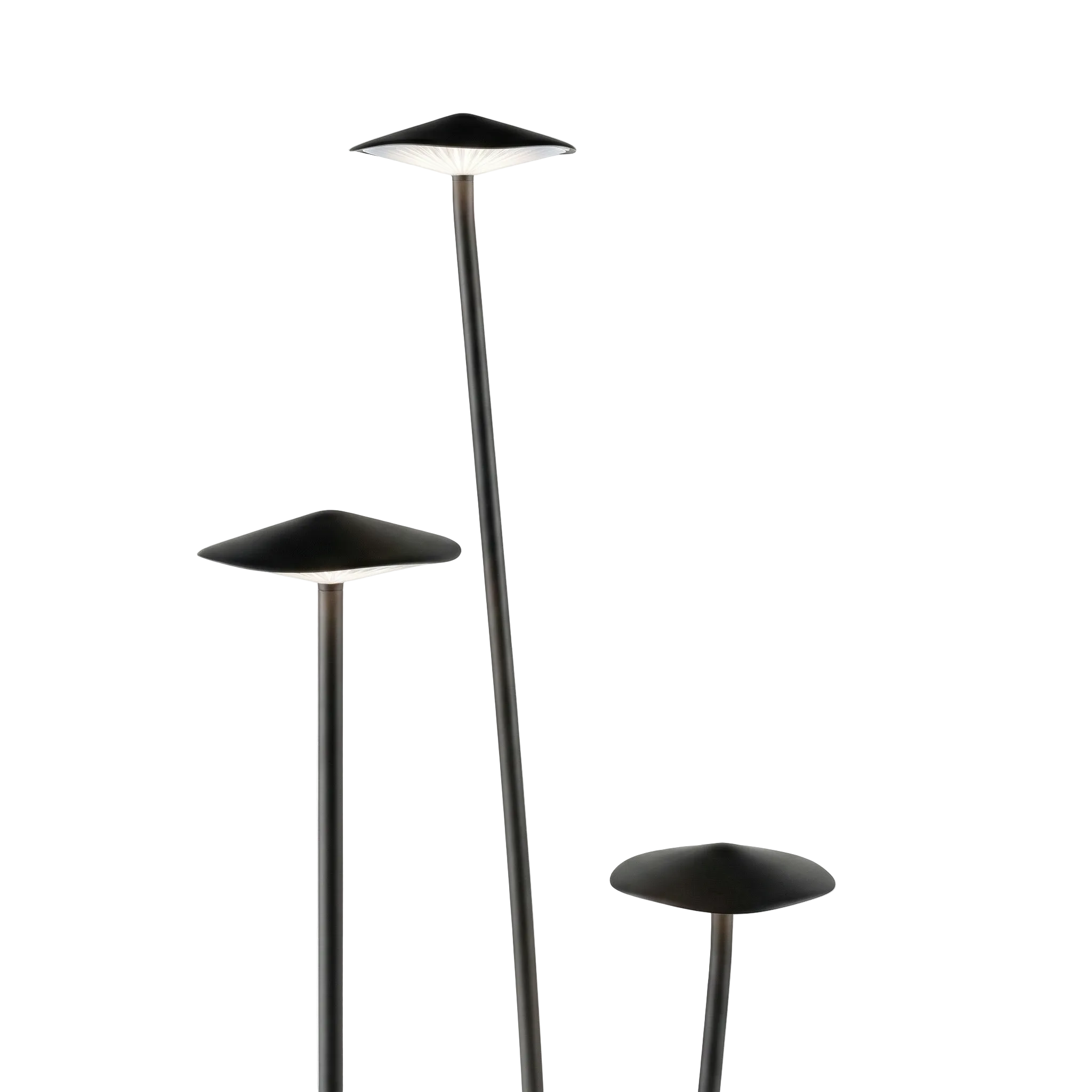 Lodes Outdoor