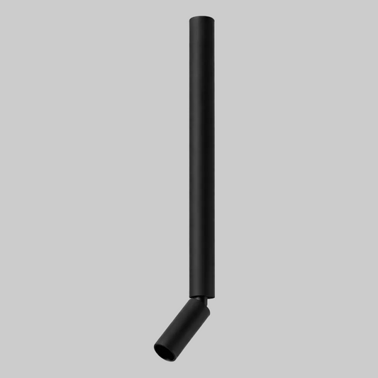 Black directional spot light 
