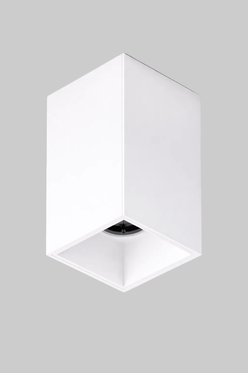 White mounted spot light 