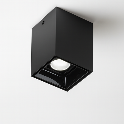 Black mounted light fixture with COB base lamp