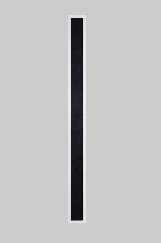 Slim wall mounted light 