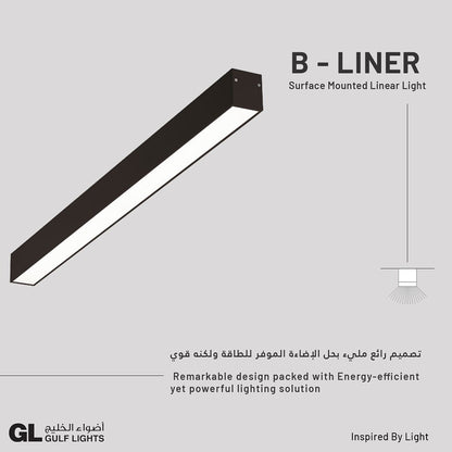 B-Liner - Mounted Linear Light