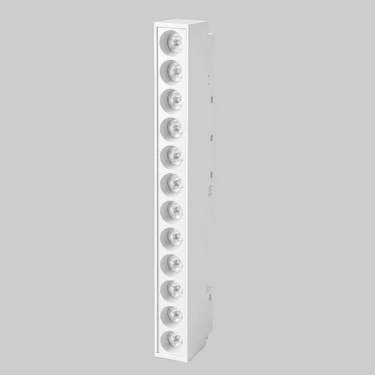 Track light fixture