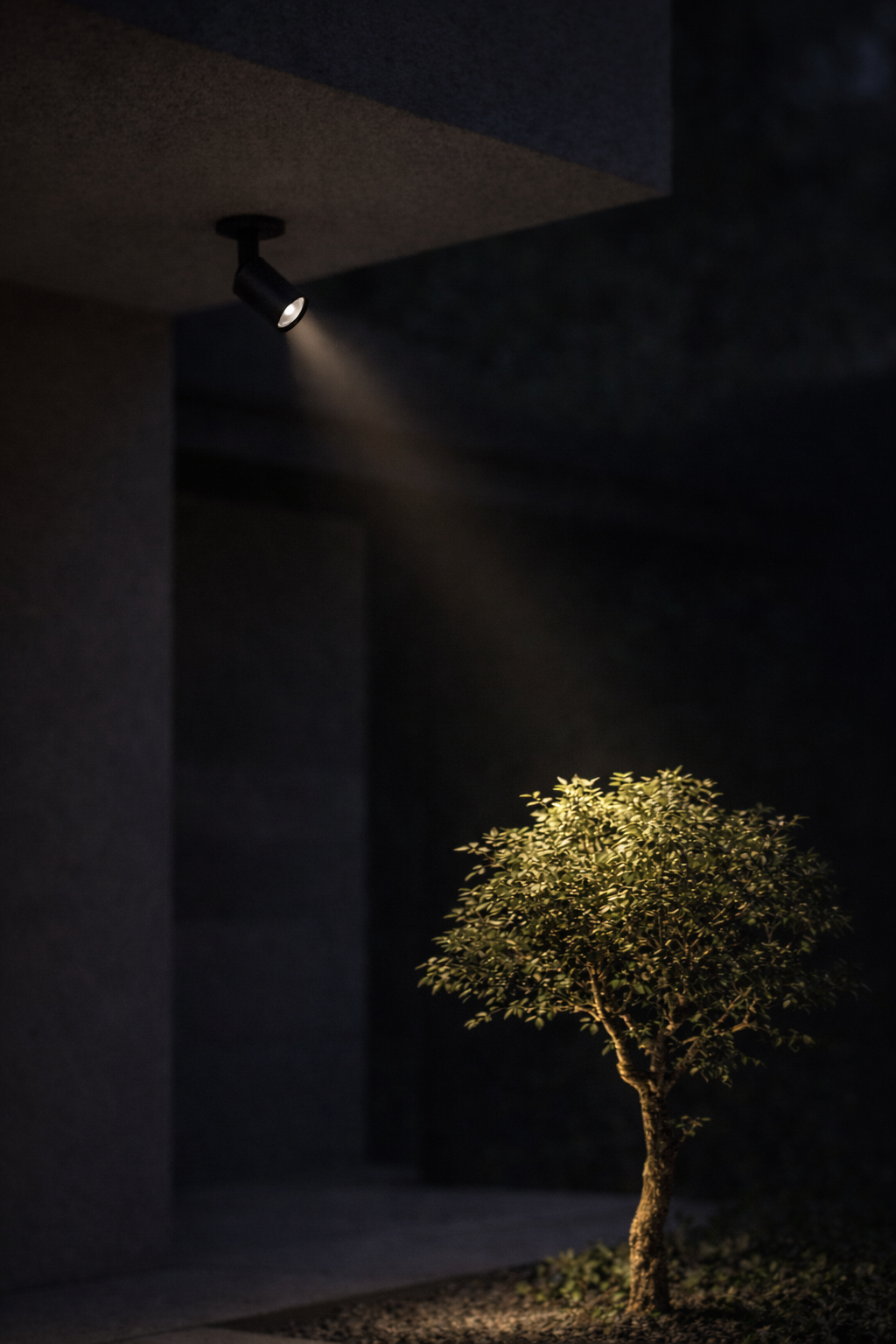 Spotlight on a wall casting light on a tree in a dark setting
Lumio adjustable spot light gulf light
Lumio adjustable spot light 