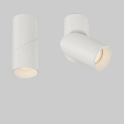 White mounted spot light 