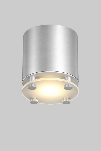 Mounted ceiling light fixture 
