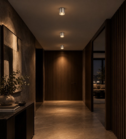 Mounted ceiling light fixture 