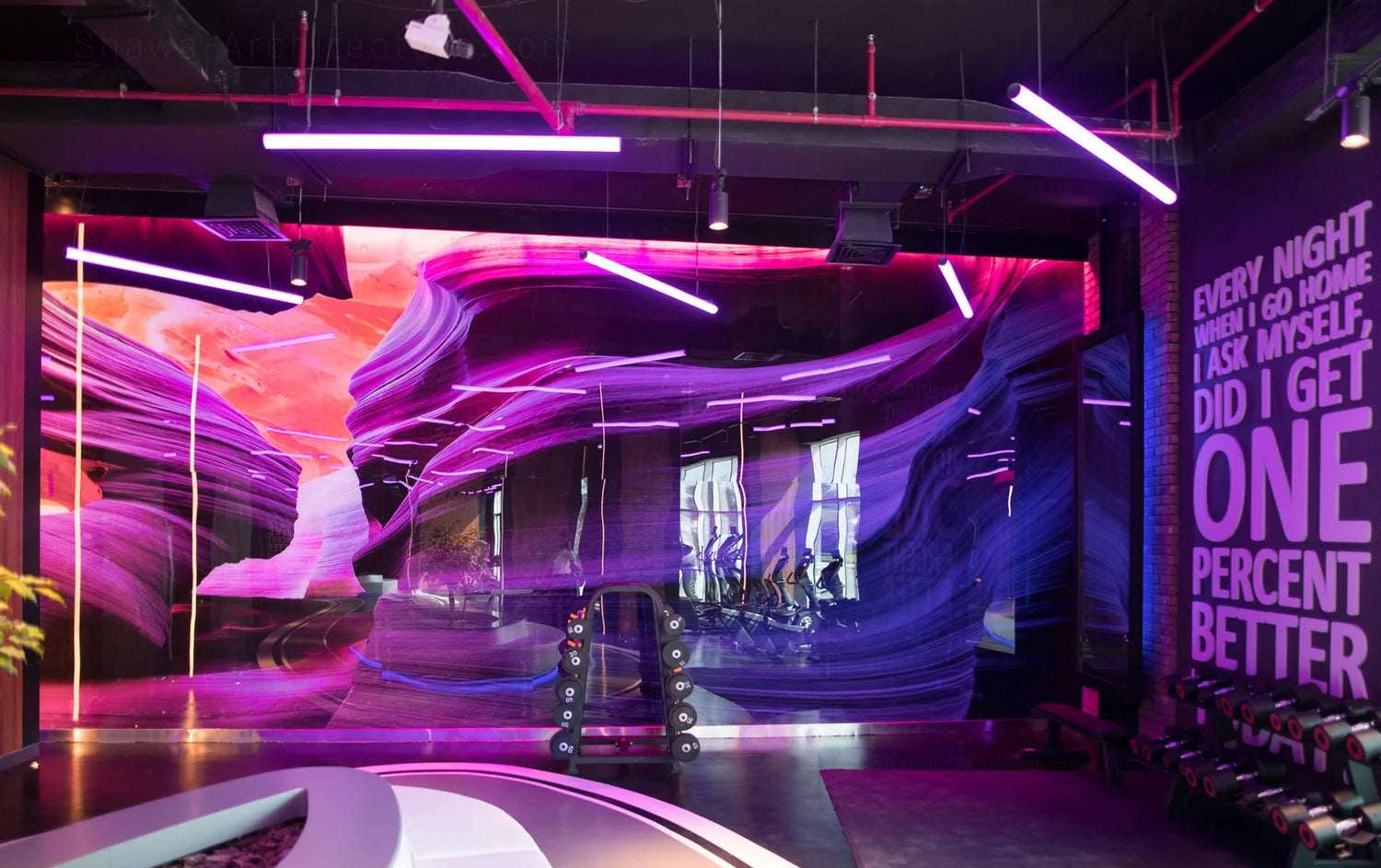 Tiger Gym Lighting at Dubai, UAE