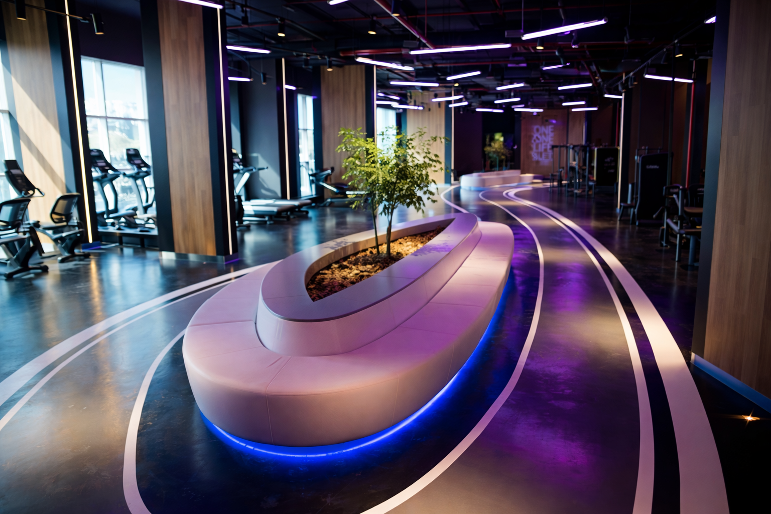 Tiger Gym Lighting at Dubai, UAE