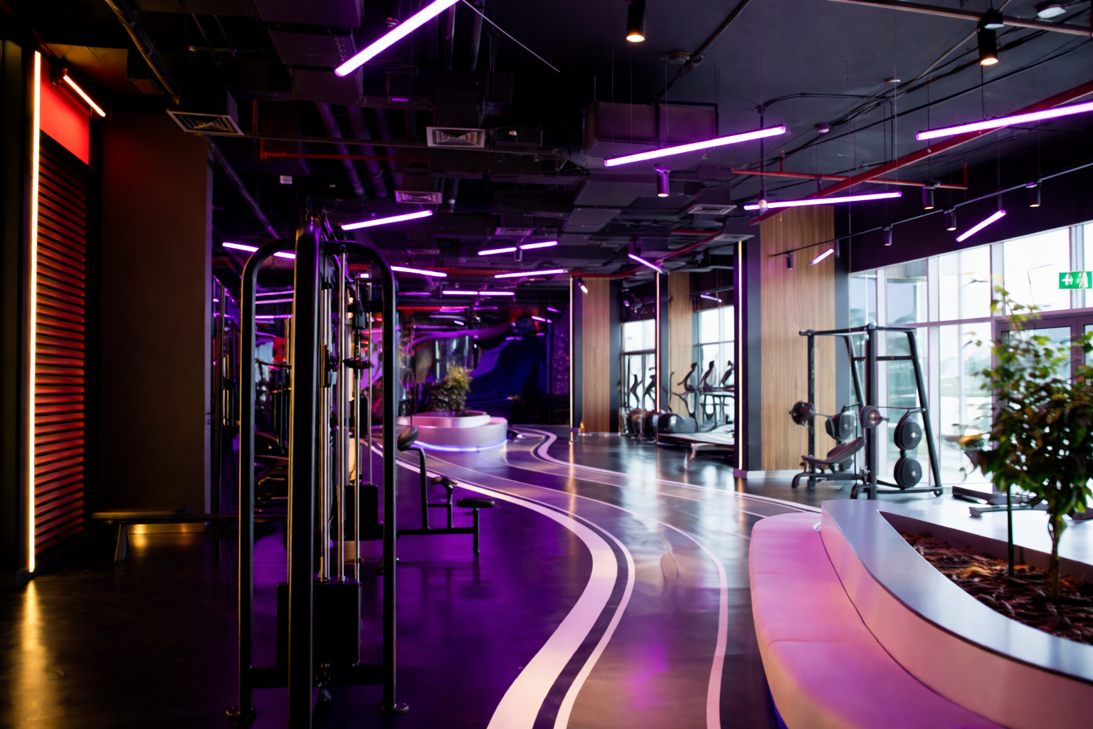 Tiger Gym Lighting at Dubai, UAE