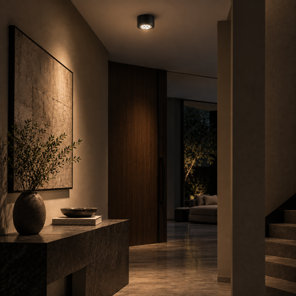 Black mounted downlight in UAE